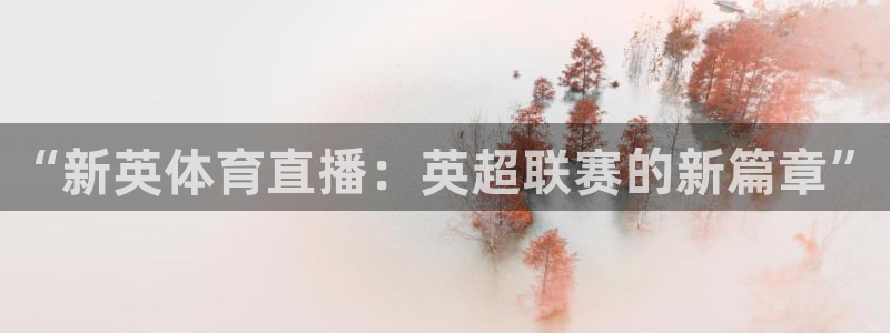 “新英体育直播：英超联赛的新篇章”
