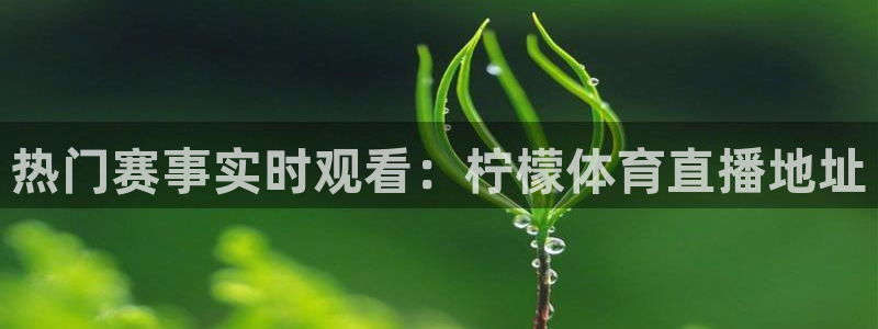 热门赛事实时观看：柠檬体育直播地址