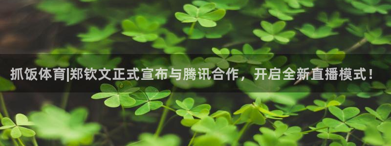 抓饭体育|郑钦文正式宣布与腾讯合作，开启全新直播模式！
