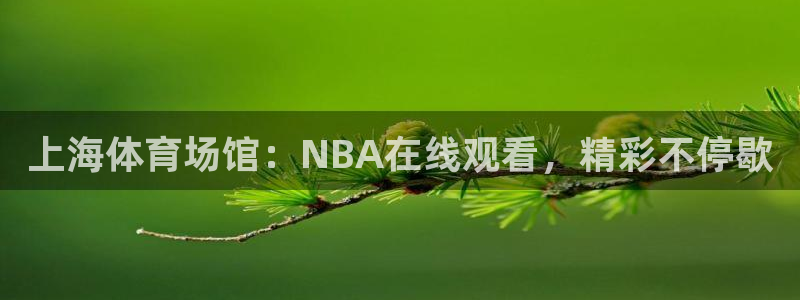 上海体育场馆：NBA在线观看，精彩不停歇