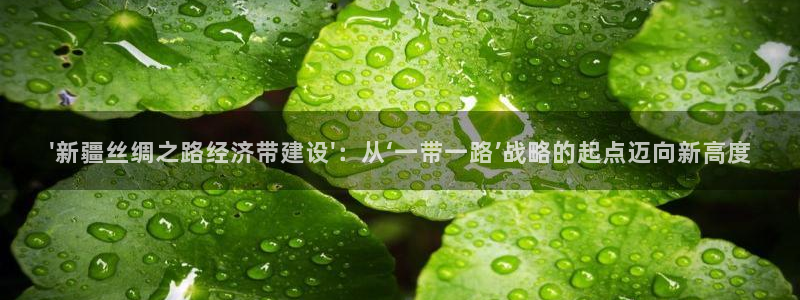 \'新疆丝绸之路经济带建设\'：从‘一带一路’战略的起点迈向新高度