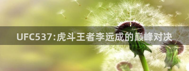 UFC537:虎斗王者李远成的巅峰对决