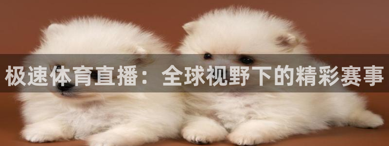 极速体育直播：全球视野下的精彩赛事