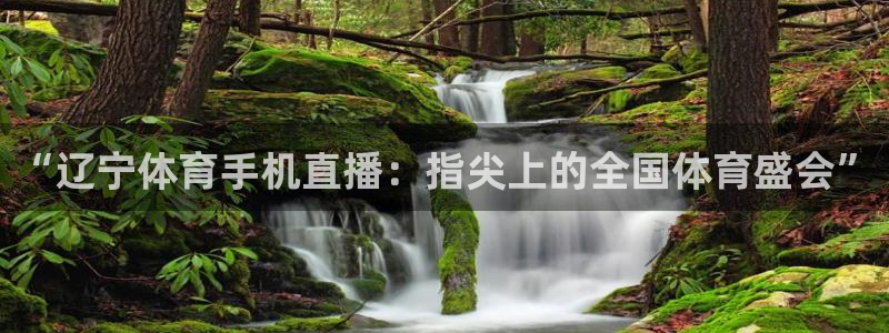 “辽宁体育手机直播：指尖上的全国体育盛会”