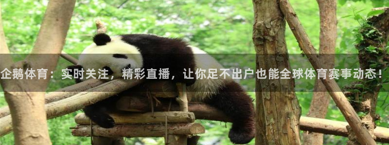 企鹅体育：实时关注，精彩直播，让你足不出户也能全球体育赛事动态！