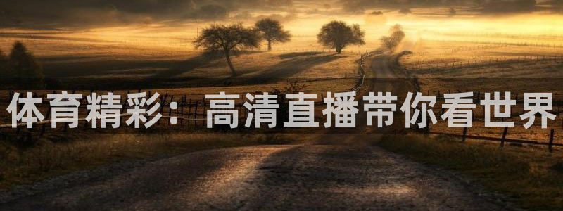 体育精彩：高清直播带你看世界