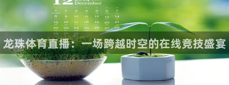 龙珠体育直播：一场跨越时空的在线竞技盛宴