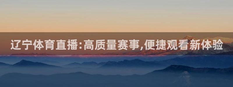 辽宁体育直播:高质量赛事,便捷观看新体验