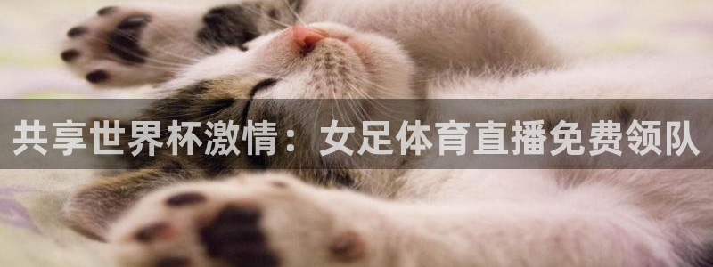 共享世界杯激情：女足体育直播免费领队