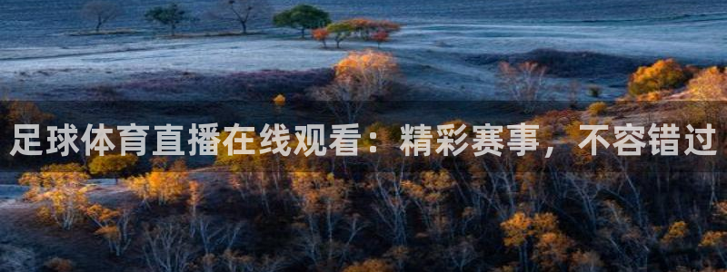 足球体育直播在线观看：精彩赛事，不容错过