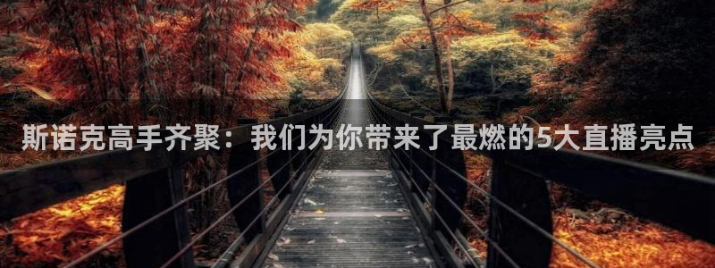 斯诺克高手齐聚：我们为你带来了最燃的5大直播亮点
