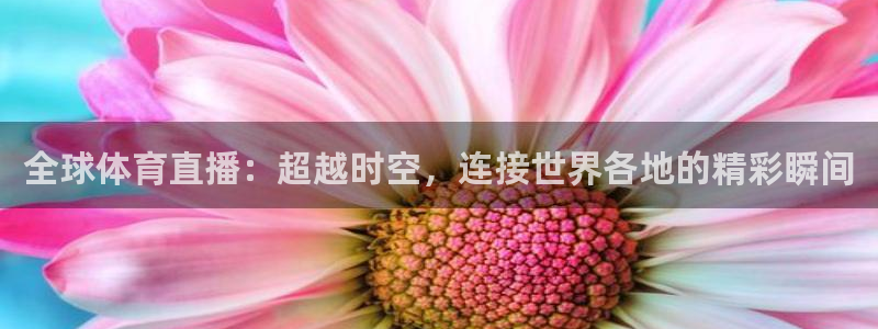 全球体育直播：超越时空，连接世界各地的精彩瞬间
