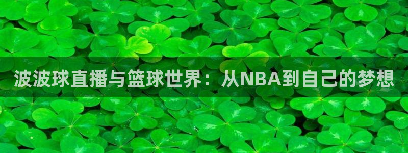 波波球直播与篮球世界：从NBA到自己的梦想