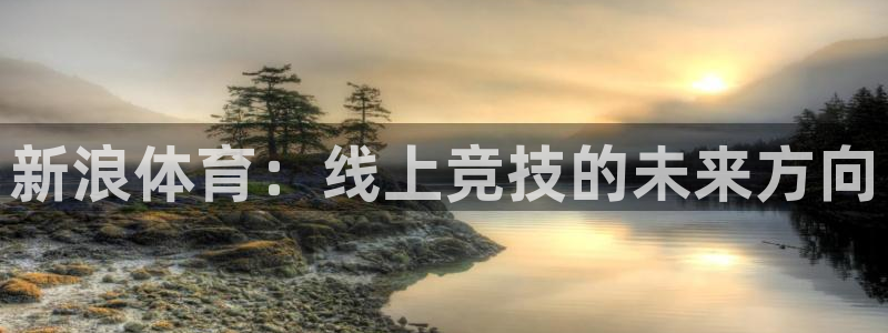 新浪体育：线上竞技的未来方向