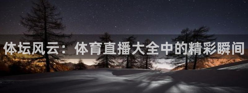 体坛风云：体育直播大全中的精彩瞬间