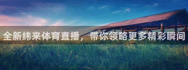 全新纬来体育直播，带你领略更多精彩瞬间