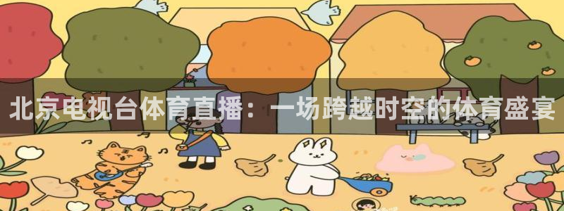 北京电视台体育直播：一场跨越时空的体育盛宴