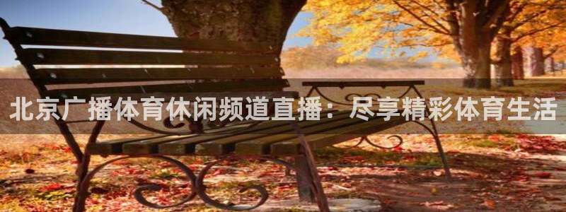 北京广播体育休闲频道直播：尽享精彩体育生活