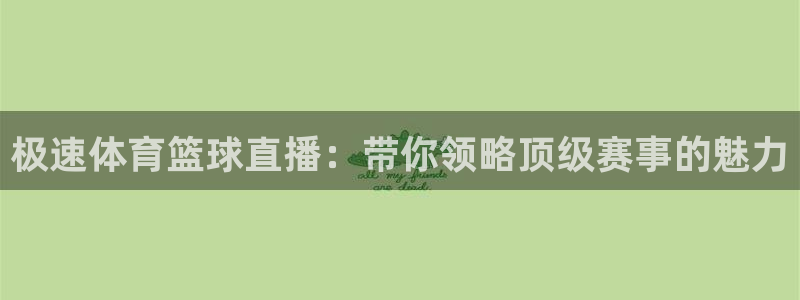 极速体育篮球直播：带你领略顶级赛事的魅力