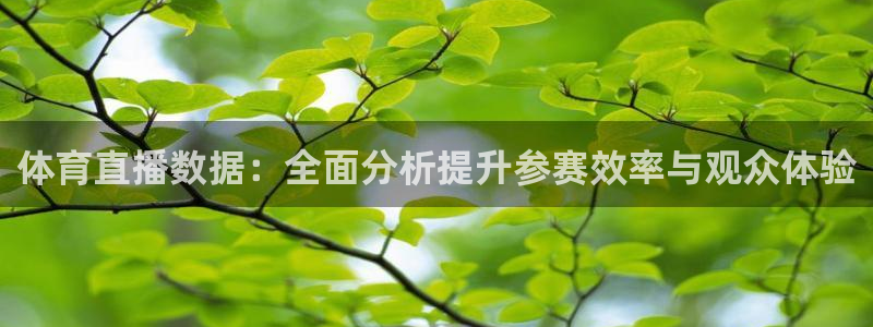 体育直播数据：全面分析提升参赛效率与观众体验