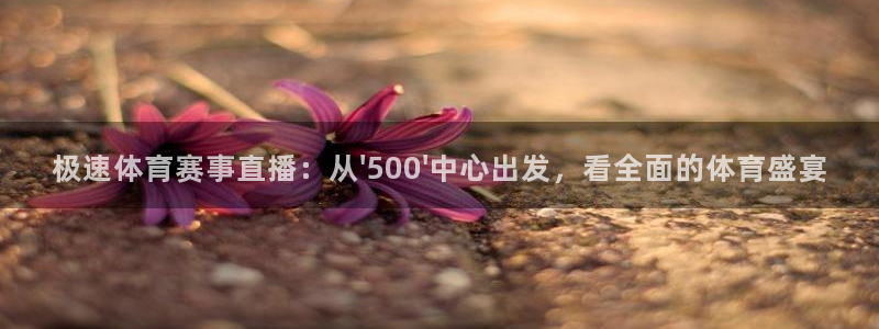 极速体育赛事直播：从\'500\'中心出发，看全面的体育盛宴