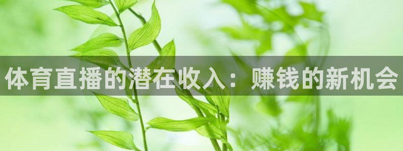 体育直播的潜在收入：赚钱的新机会