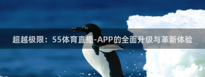 超越极限：55体育直播-APP的全面升级与革新体验